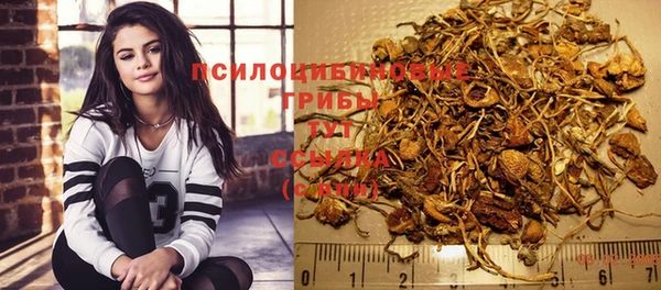 дурь Алексин
