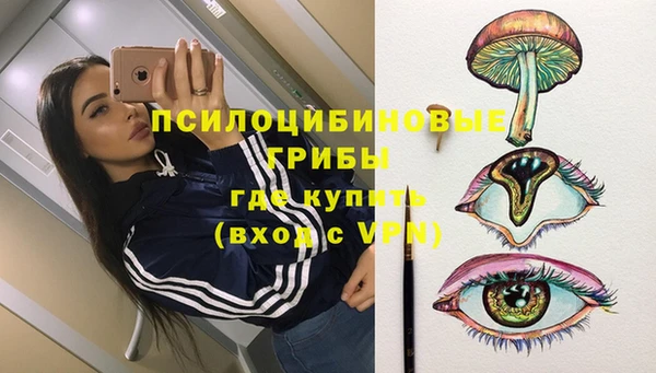 дурь Алексин
