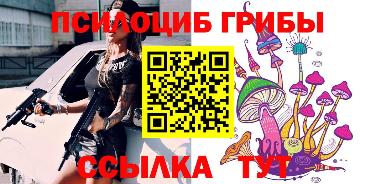 Галлюциногенные грибы Psilocybe  купить  сайты  Галлюциногенные грибы MAGIC MUSHROOMS  Красноармейск  Вход с VPN 
